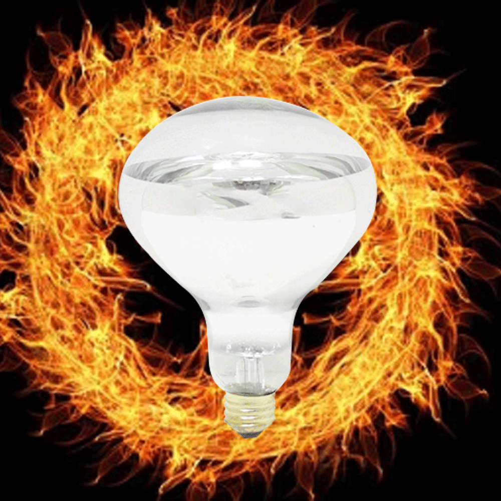 일광 열전구 경질유리 185W 250W 375W 1박스(10개) 난방용전구 농가 축사 64,000원