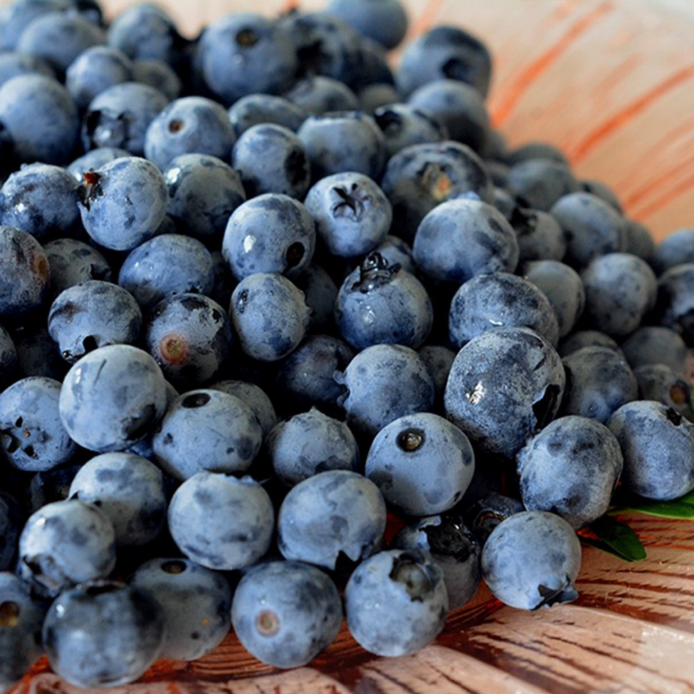 탱탱식감 프리미엄 생 블루베리 칠레산 18mm 16mm(1팩당 125g), 1개, 특대과 (16-18mm) 2팩 16,000원