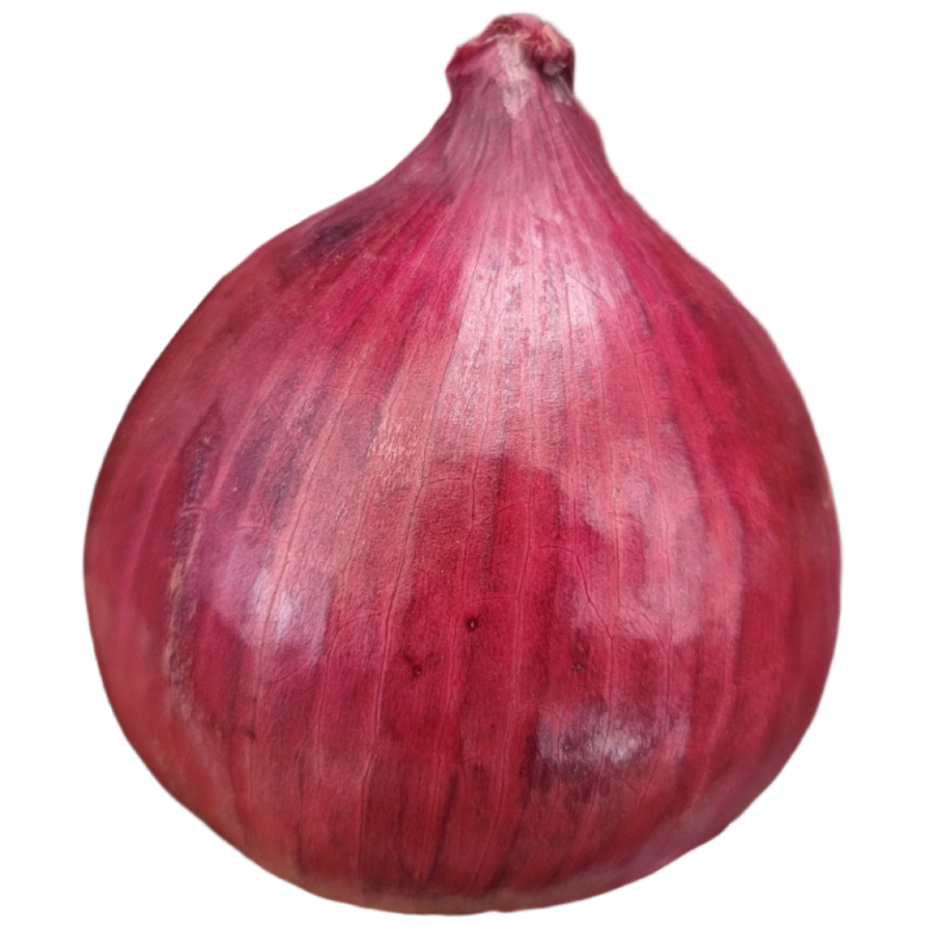 (광평영농조합) 25년 전남무안 황토밭 햇 자색양파 6,280원