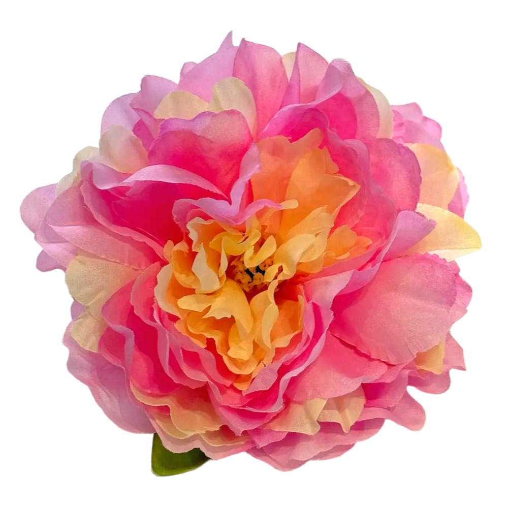 베타꽃침대 1+1 베타 어항꾸미기 은신처 12,500원