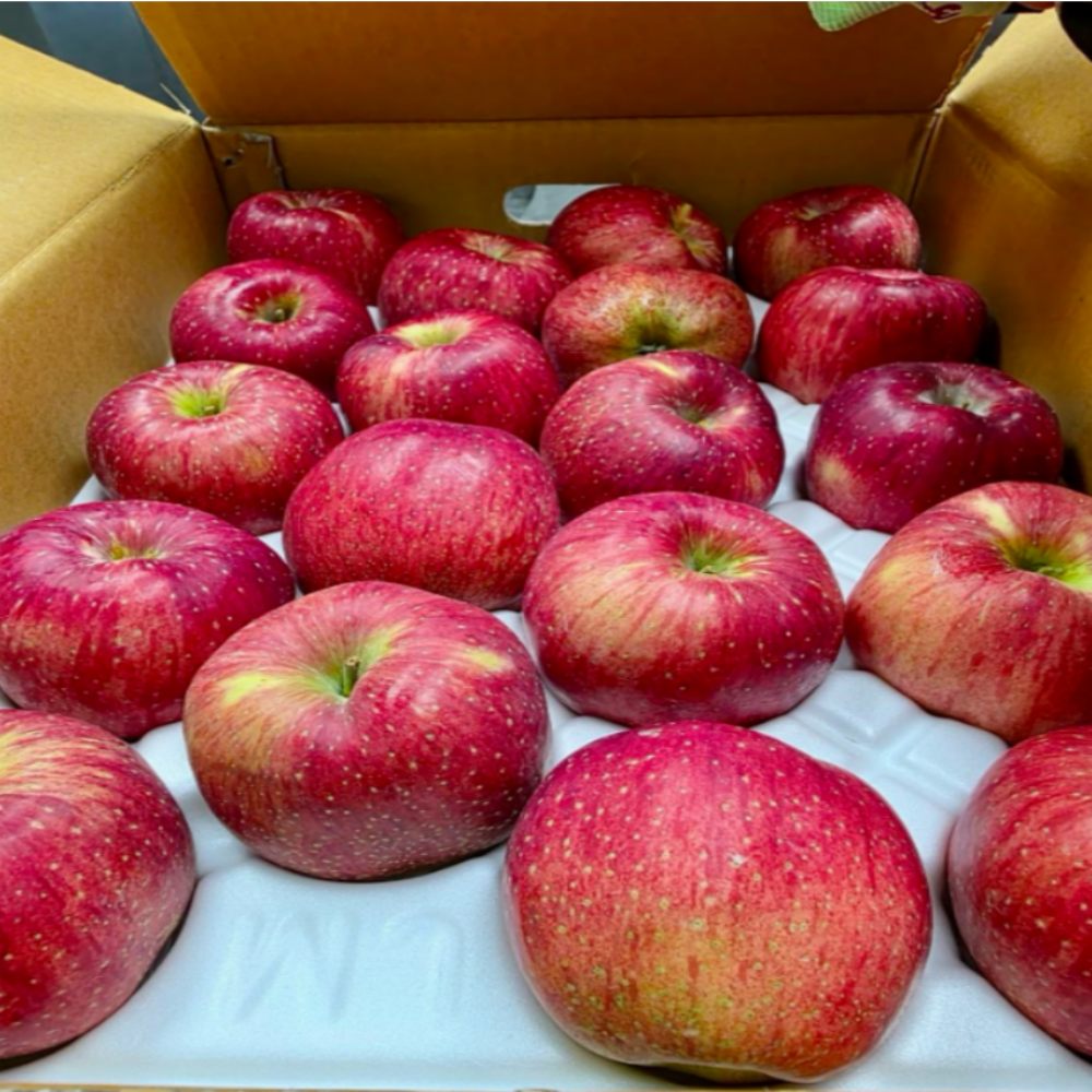 특품 사과 경상북도 선물용 고당도 부사 사과 (정품), 1개, 5kg 대과 (정품) 60,500원