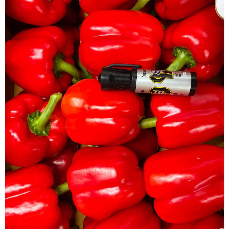 국내산 파프리카 빨강 유기농 식자재 마트 샐러드용 가락시장 도매납품, 1개, 1kg 12,000원