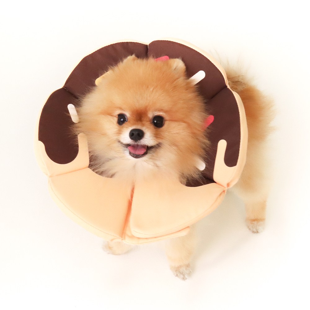 비마이펫X펫트리움 강아지 고양이 도넛 넥카라 27,000원