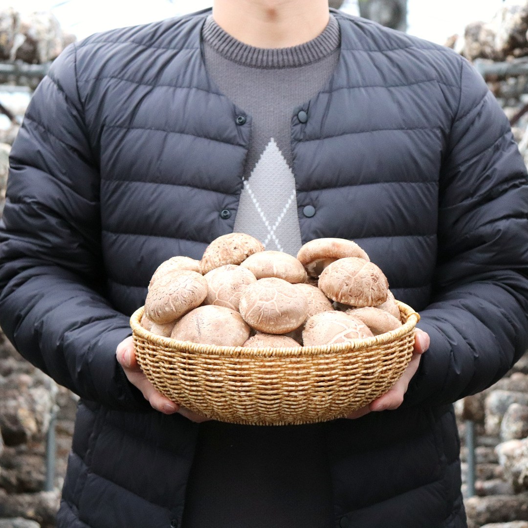 [산지직송] 국내산 생표고버섯 특상품, 실속형 500g, 1kg 9,900원