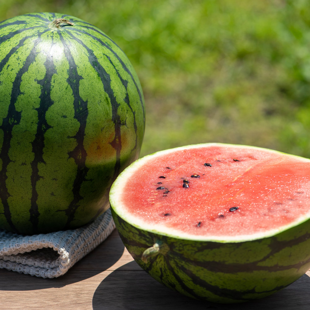 [산지직송] 당도선별 하우스수박 1개 (6kg) 꿀당도, 1개, 6kg 27,900원