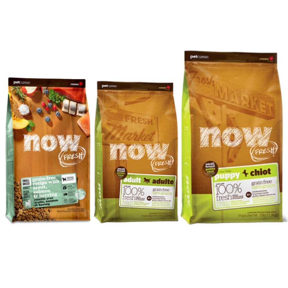 나우 샘플 사료 모음 50g 강아지 기호성 테스트모음 퍼피 어덜트 전연령, 칠면조, 50g, 1개 2,900원