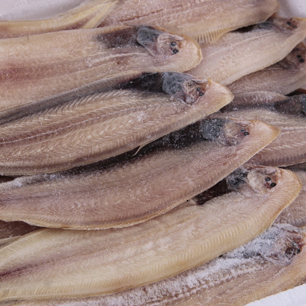 [정연푸드] 군산 명품 박대 특품 반건조 박대 5미 18,900원