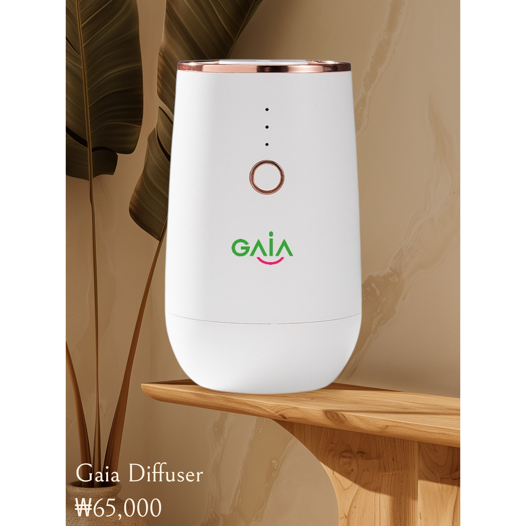 도테라 화이트 에어 디퓨저 75 x 123mm 65,000원