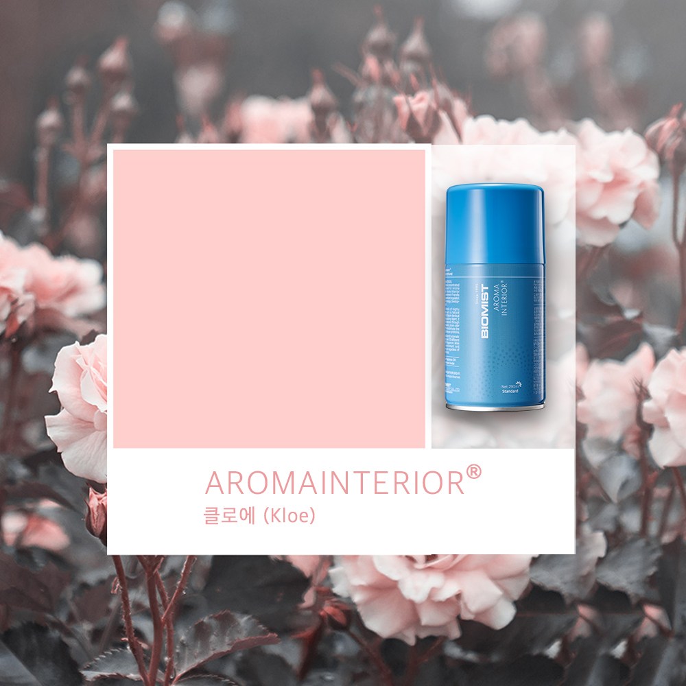 바이오미스트 아로마인테리어 실내 자동차 화장실 거실 사무실 매장 업소 방향제 자동분사기 리필 캔 스프레이 10종택1 290ml 10,000원