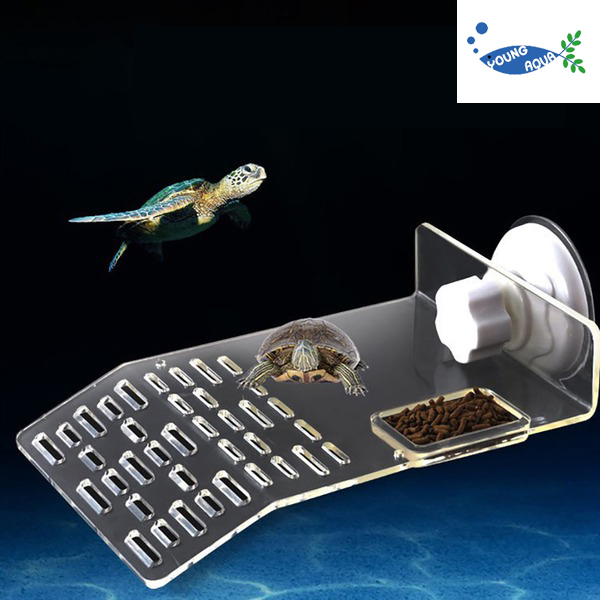 영아쿠아 거북이 쉼터 터틀 은신처 걸이식 흡착식 트레이 수조 6,490원