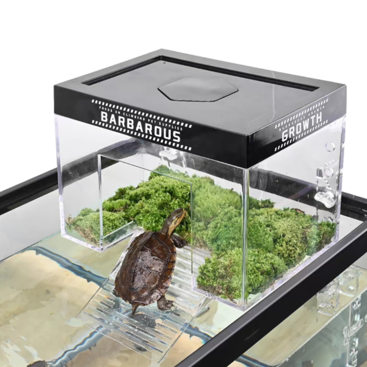 안깨지고 수영하기 좋은 거북이 오두막 육지 쉼터, 1개 25,800원