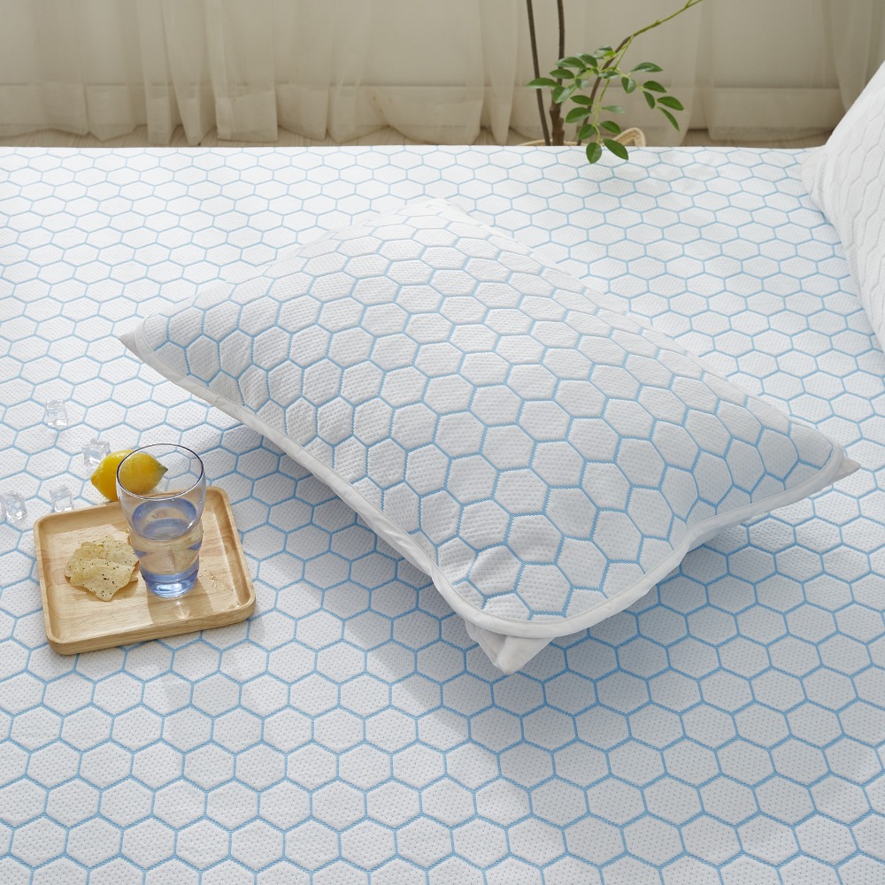 아토하우스 아이스쿨 냉감 베개커버, 블루 9,900원