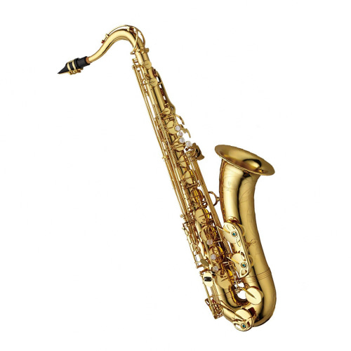 야나기사와 테너 색소폰 브론즈 관 색소폰 T-WO2/TWO2 2026신품 5,720,000원