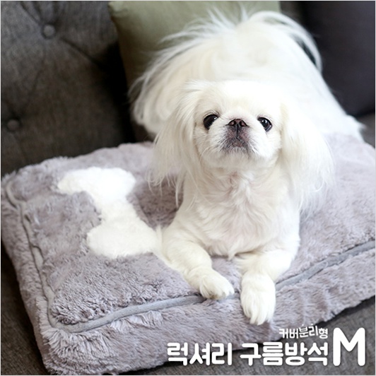 아페토 커버분리형 럭셔리 구름방석 XXL 135,000원