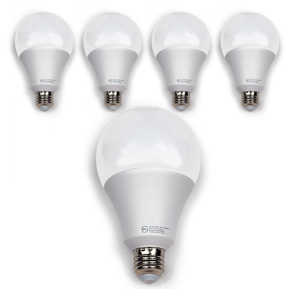 데이온 led 전구 20w 벌브, 5개 19,900원