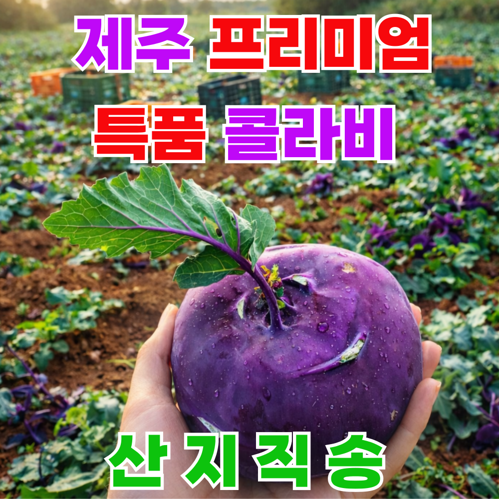 [산지직송] 제주 아삭달콤 프리미엄 콜라비, 1박스, 10kg 35,900원