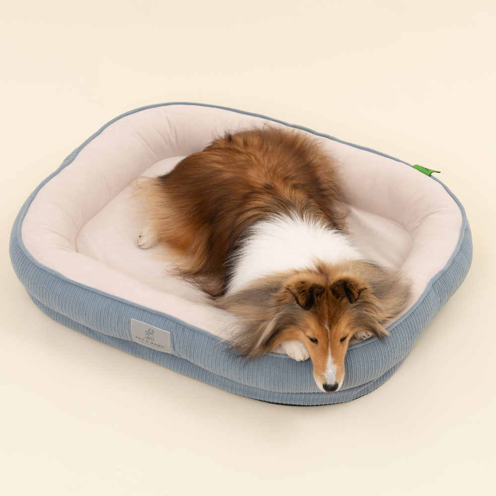 홀릭하임 슬개골 보호 강아지 폼 방석 노령견 극세사 쿠션 분리세탁, 1개, Dust블루 19,900원