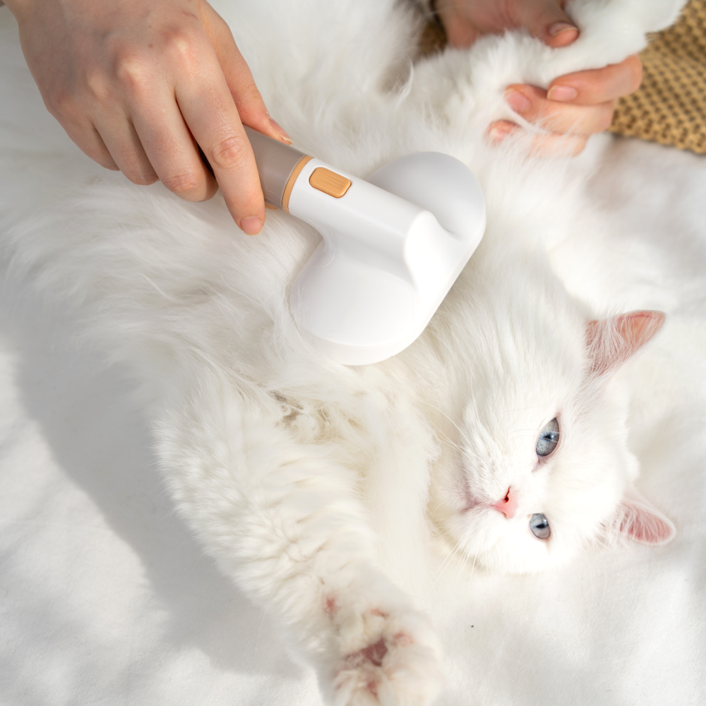 스타캣 고양이빗 반려동물 털제거 브러쉬 세트 3in1 교체형 원터치 펫브러쉬 17,820원