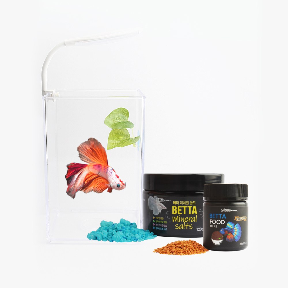 베타 키우기 어항 풀세트 어항+조명+사료+비타민+베타침대 5종세트 16,500원