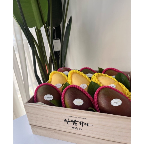 [과일바구니] 인천 클래식2호 애플망고6과 노란망고3과 고당도프리미엄 추석 설날 과일선물세트 수출용 설날명절 148,990원