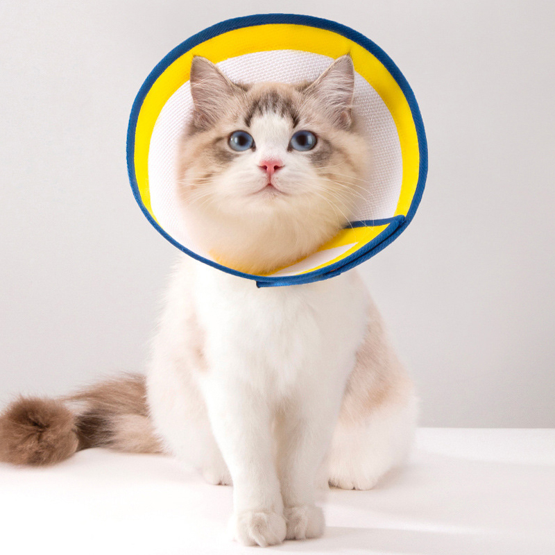 파스텔펫 반려동물 메쉬 배색라인 넥카라 7,800원