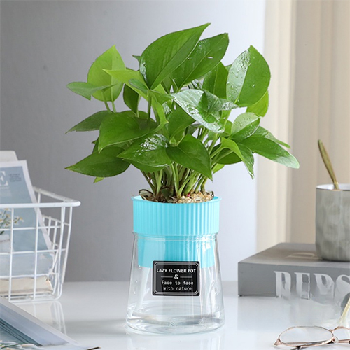 더플로우커머스 청량하고 깔끔한 인테리어 가드닝 저분관수 화분 배양 8,410원