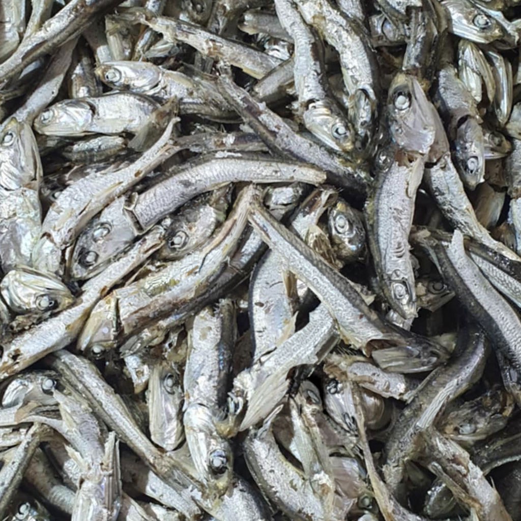 [코오푸드]국물멸치 육수용 다시멸치 식자재용 실속형 1.5kg(국내산) 14,900원