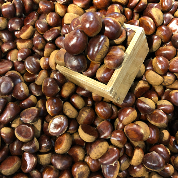 청년상회 공주밤 햇밤 알밤 약단밤 생율밤 67,800원