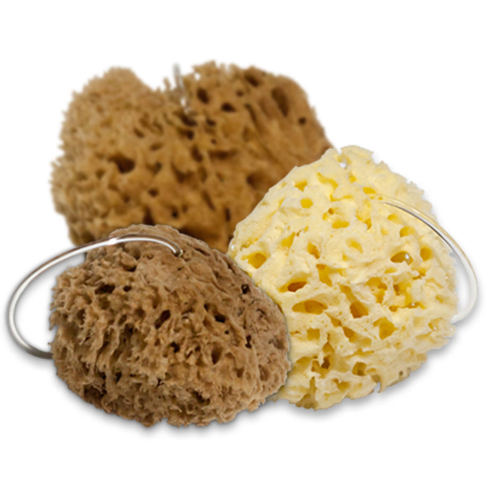 베베캐슬코리아 천연해면 그리스산 항균 아기목욕 스펀지 최상급해면, 칼림노스M, 1개 18,000원