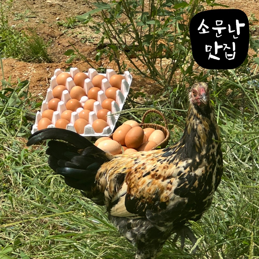 소문난맛집 유정란 난각번호1번 계란 대란 자연방사 무항생제 HACCP인증 21,370원