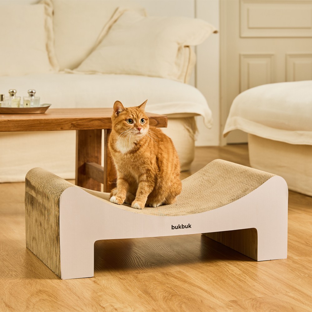 3651 bukbuk 벅벅 해먹 고강도 고양이 스크래쳐 38,900원