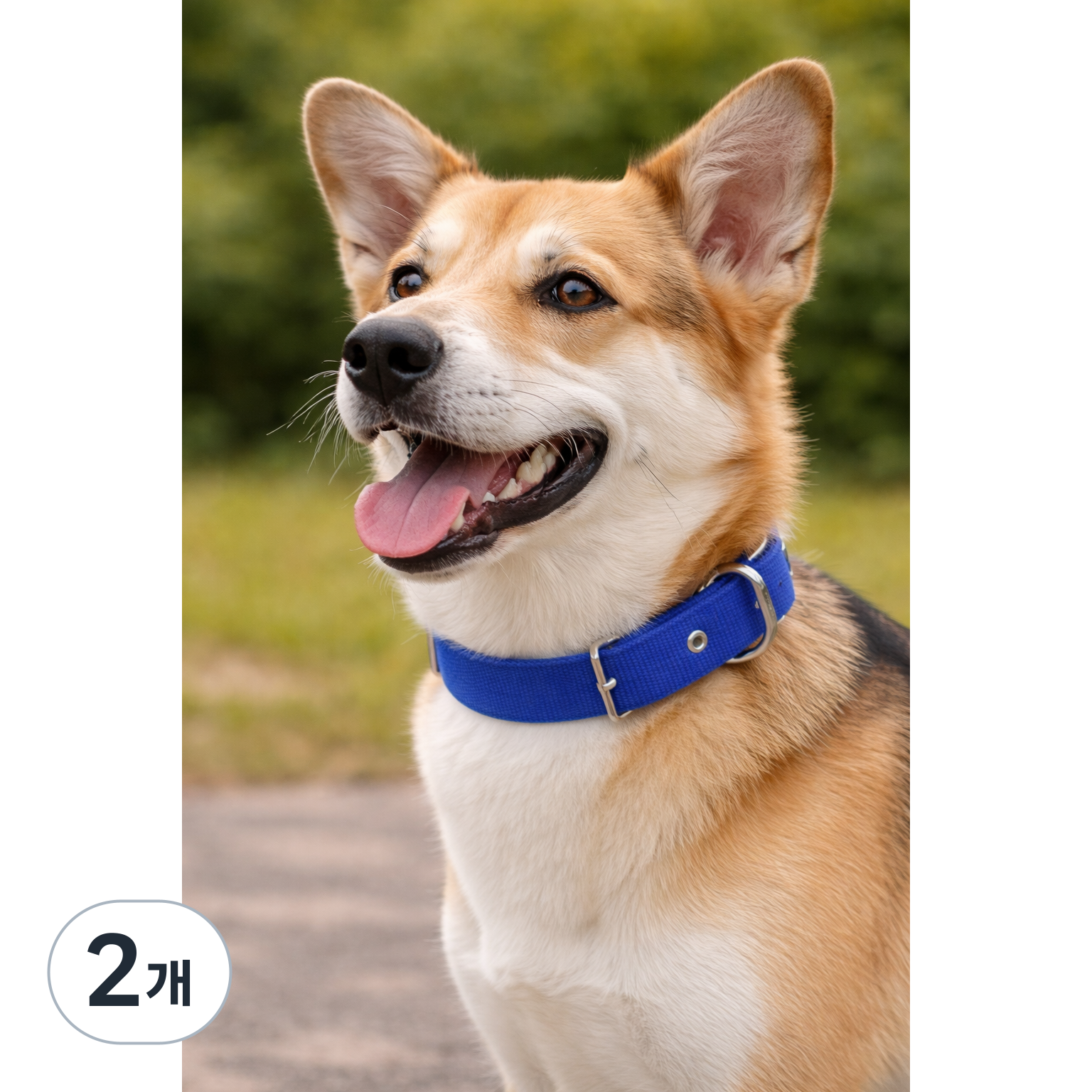 진진체인 강아지 목줄 고강도 나일론 중대형견용, 2개, 블루 25,000원