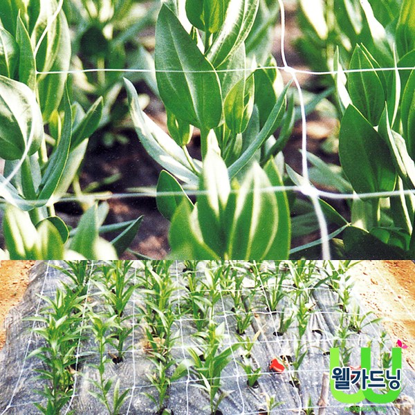 조이가든센터 이태리산 절화망 119cm x 1000M 7칸 355,000원