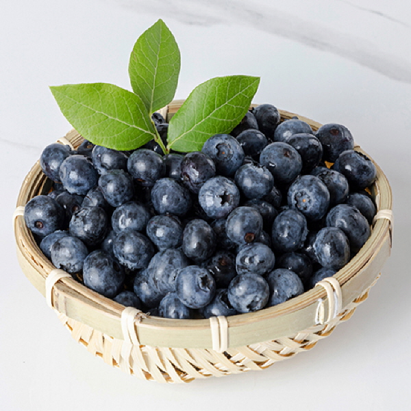 항공직수입 프리미엄 수입산 생 블루베리, 12개, 생 블루베리 18mm 125g 49,500원