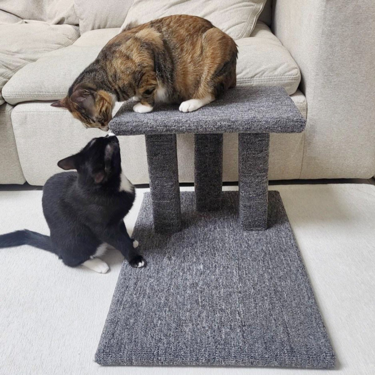 KADY 고양이 카페트 계단 스크래쳐 놀이터 캣타워 59,800원