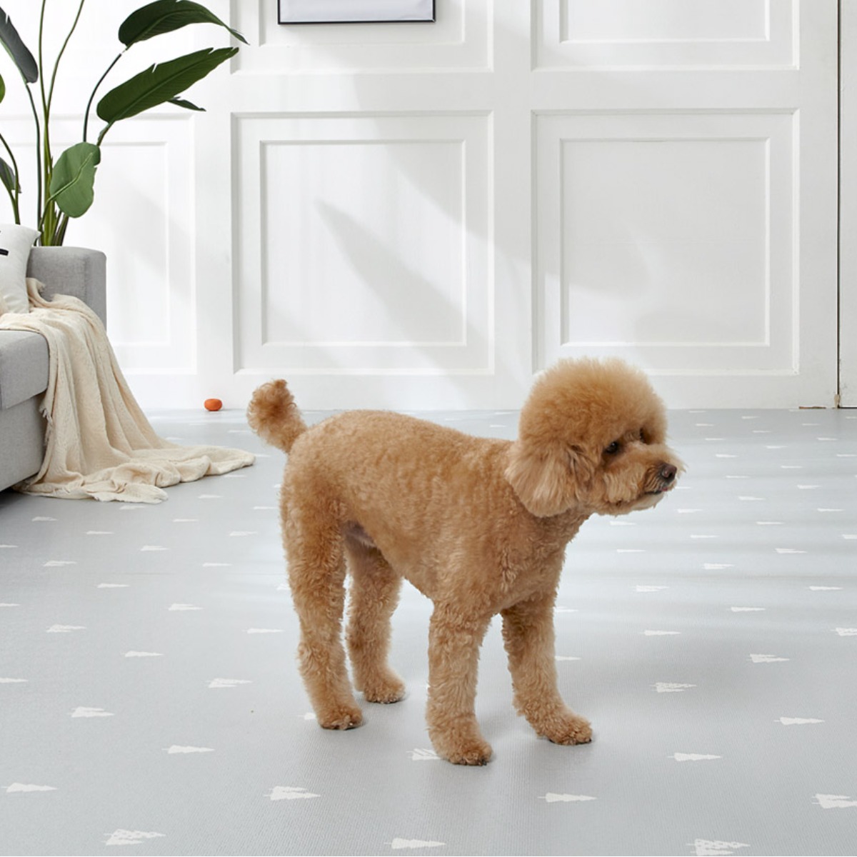 휴팡 15T 애견 롤매트 셀프시공 강아지매트 미끄럼방지 슬개골보호 펫 PVC매트, 폭 110cm x 10m 339,000원