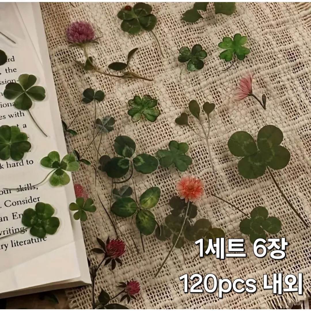 빈티지 플로랄 투명 방수 스티커 네잎클로버 데이지 라벤더 다꾸 스티커 휴대폰 태블릿등 꾸미기 스티커 6,900원