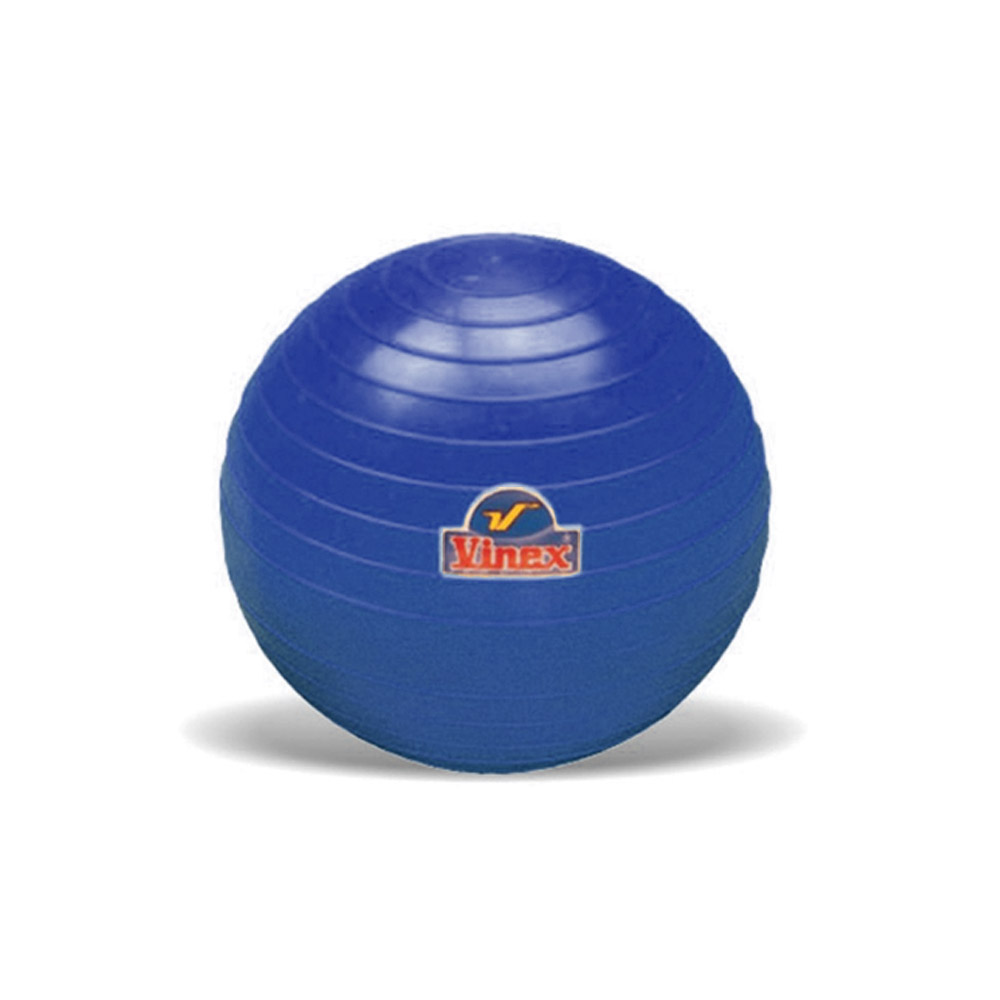 다우리 PVC 투포환 포환 던지기 공 실내외 겸용 3kg, 현재가 59,000원