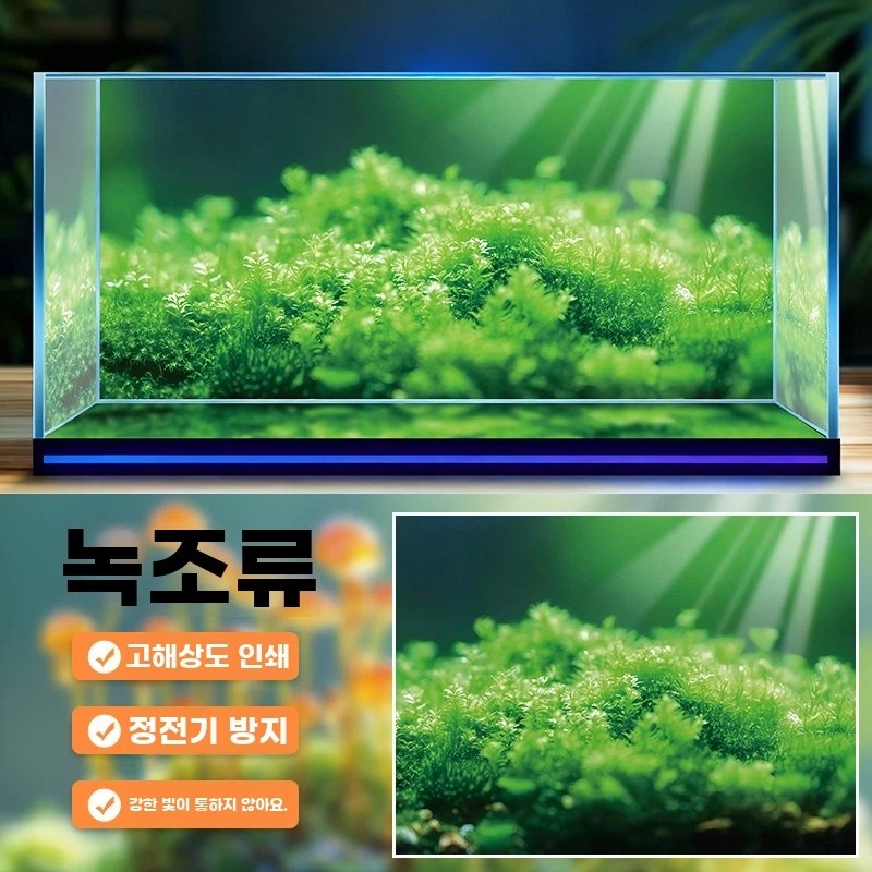 어항 LED 백스크린 배경 조명 백라이트 블루투스 수조 50x30RGB 풀 컬러 + 앱 제어 57,500원