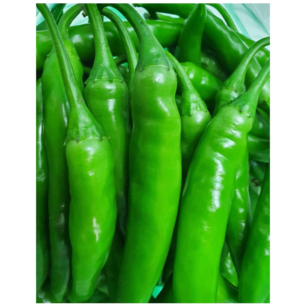 야채왕 매콤 알싸 청양고추 15,670원