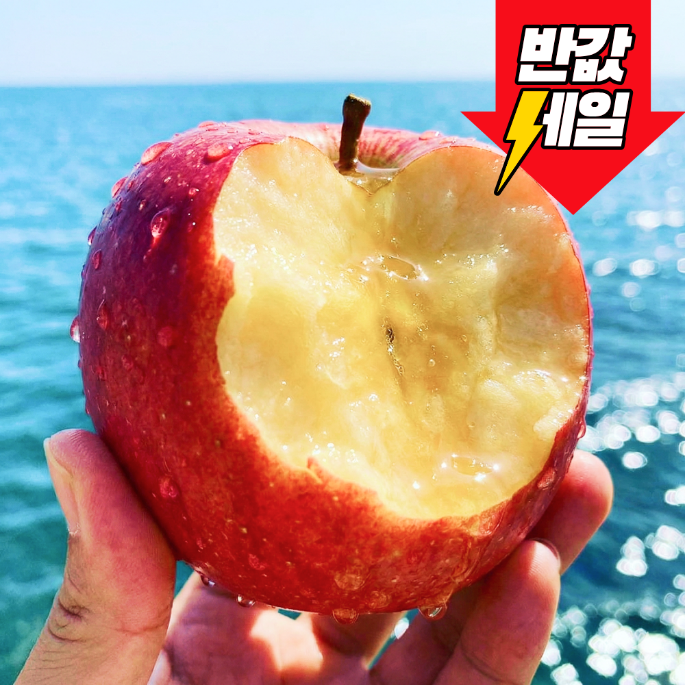 [선착순할인] 딱100박스만 파격초특가 고당도 부사사과 13,900원