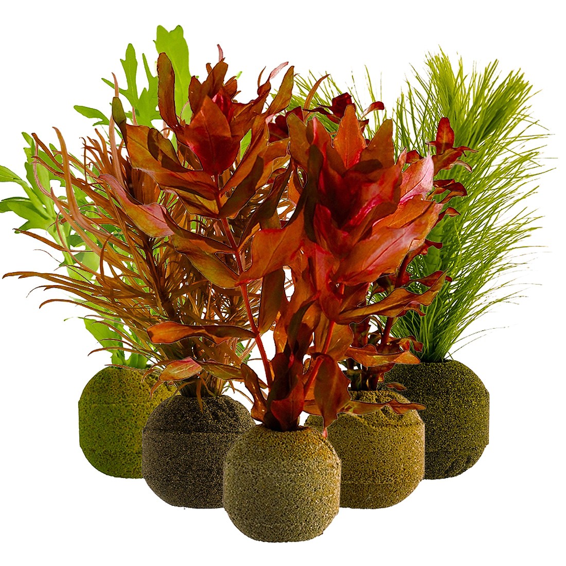 [착한수초] 달팽이 없는 랜덤 포트수초 달팽이 없는 수중엽 수초 초보 수초 레이아웃 구피 은신처, 4개, 현재가 9,200원