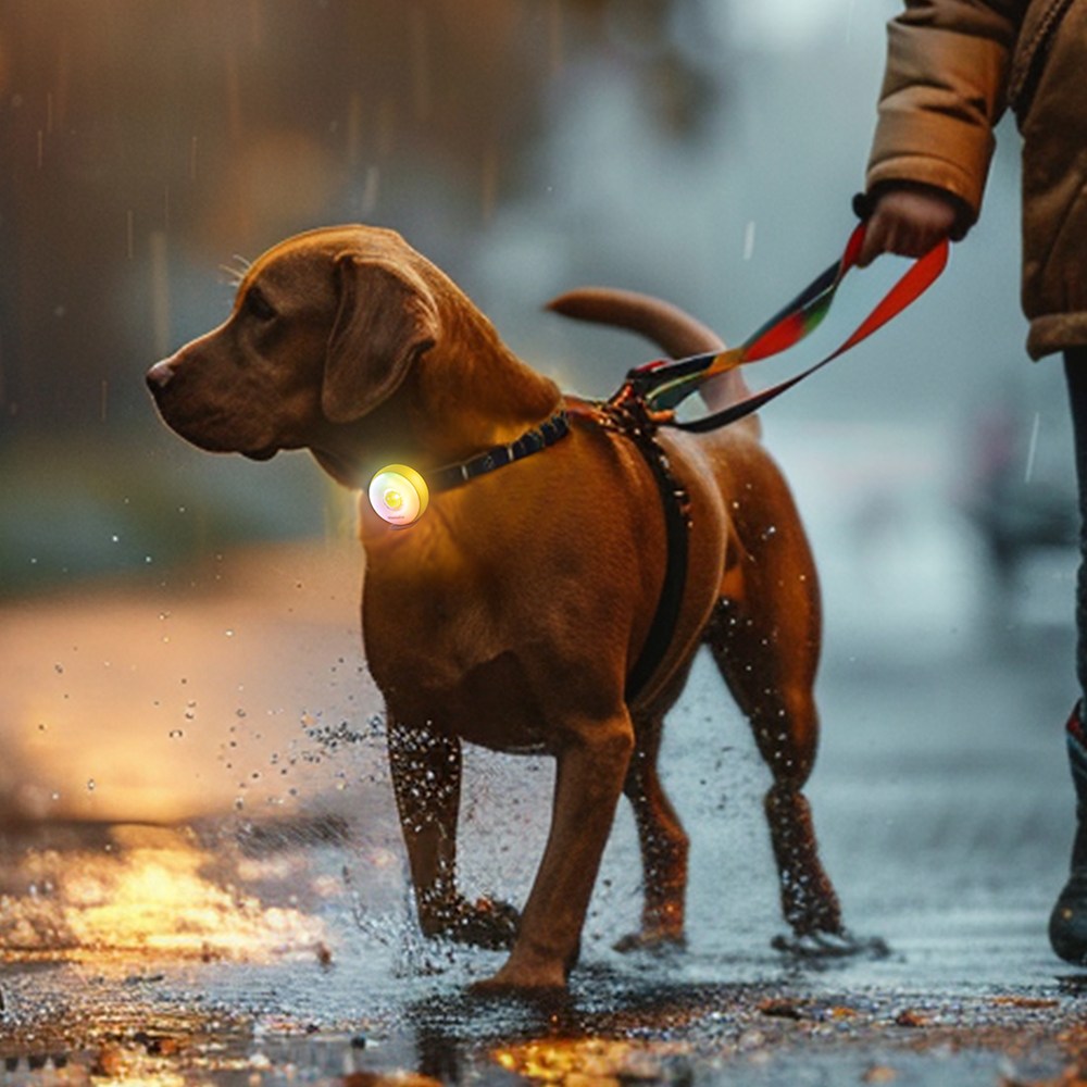 모츄츄 펫 안전등 야간 발광 조명 강아지 목걸이 LED 라이트 6가지 모드 스마트 센서 방수 산책등 선물 추천, 1개, 원형 33,890원