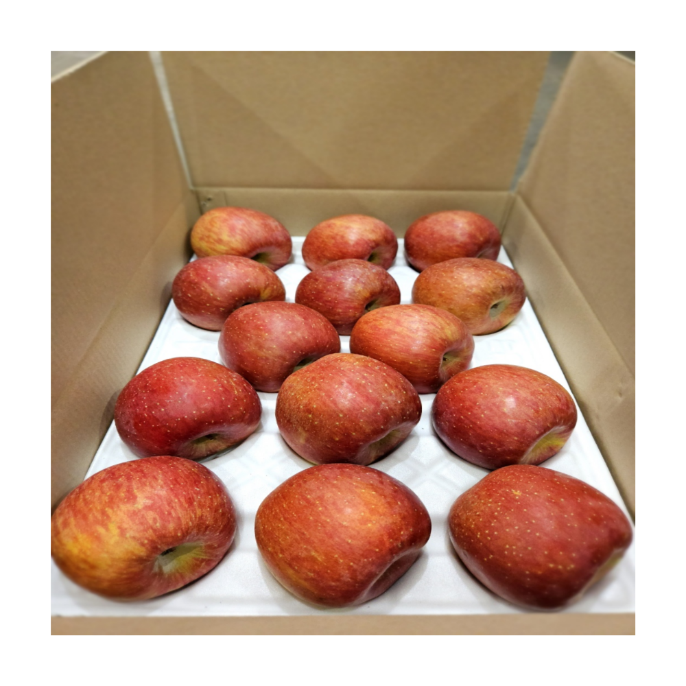 ( 특품 사과 ) 과즙팡팡 경북 선물용 정품 부사 사과 (정품) 69,500원