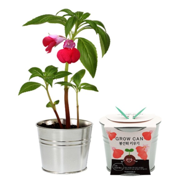 틔움 new그로우캔 봉선화 키우기세트 5,460원