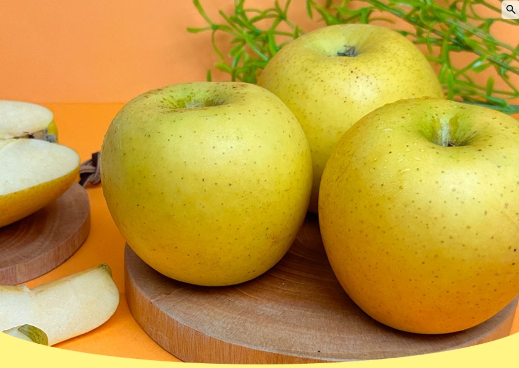 아삭달콤 국산 사과 5kg │ 시나노골드 실속형 신선과일 69,500원