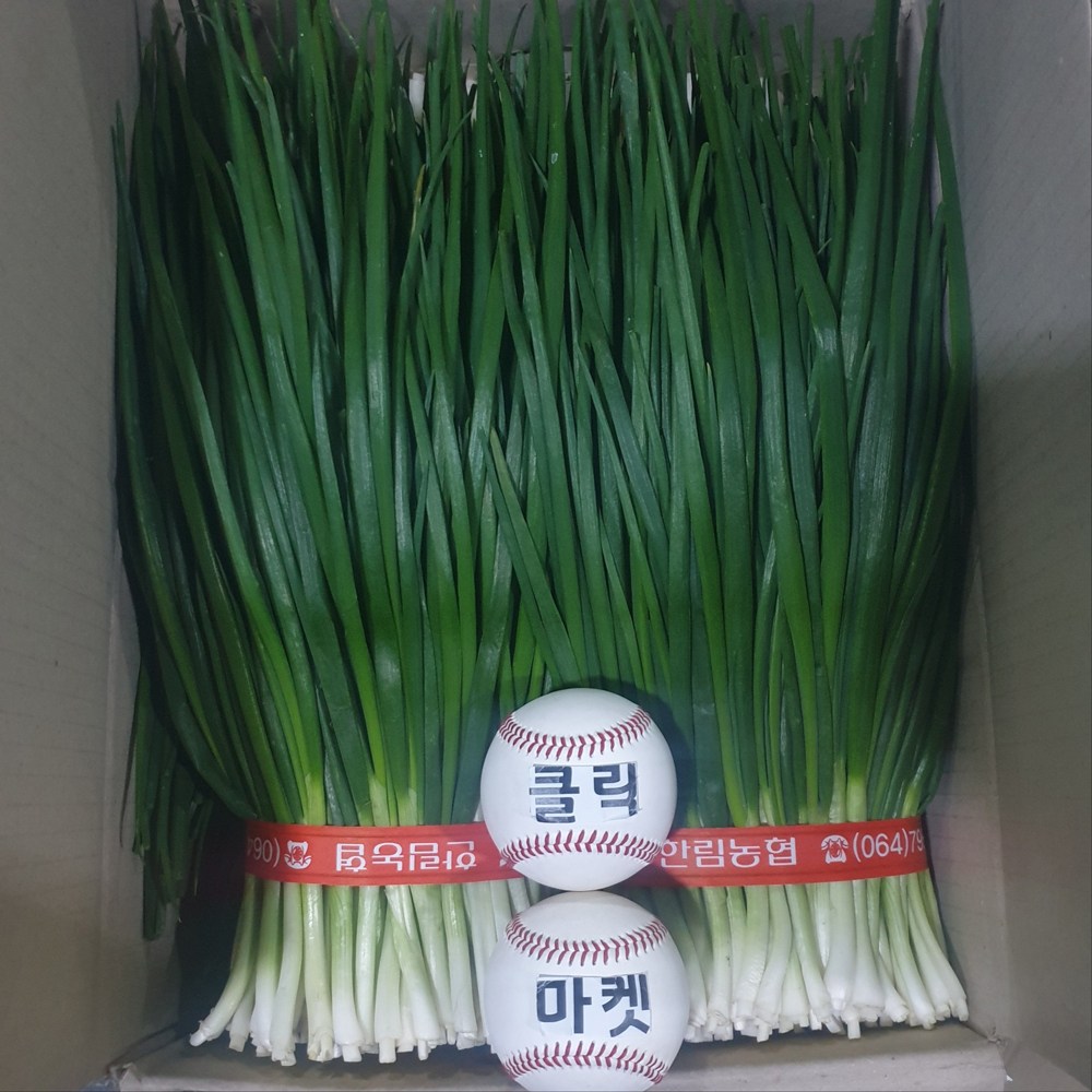 클릭마켓 국내산 제주 깐쪽파 쪽파 파김치 김장 용, 1개 7,000원