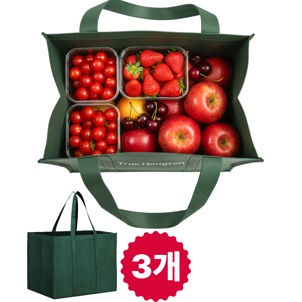 트루행센 부직포 가방 특대형 쇼핑백, 3개, 그린 8,600원