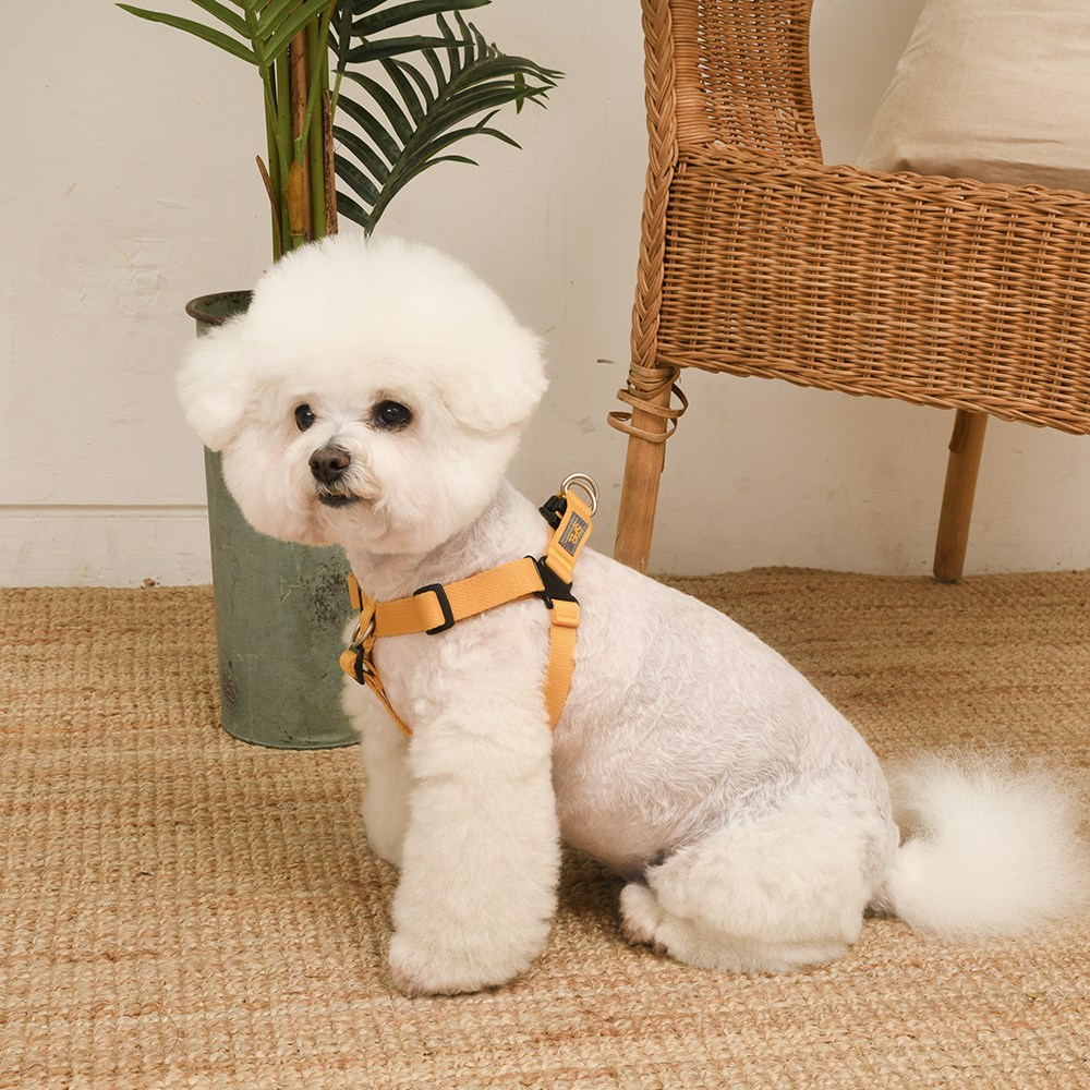 [SPEL] 스펠 착! 하네스 ver2 세트 옐로우 (YELLOW), 1개 42,000원