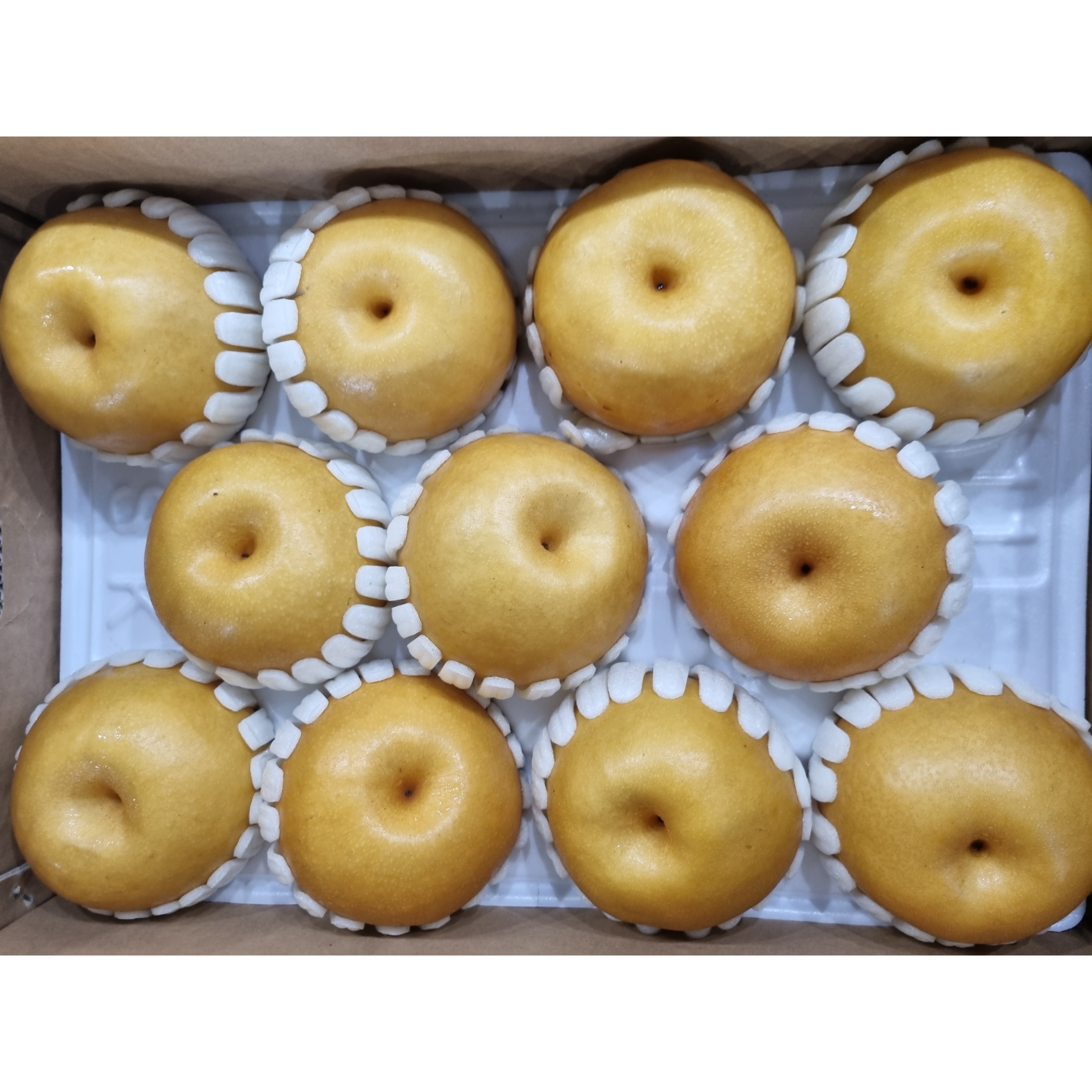 가정용 못난이 신고배 햇배 38,900원